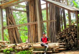 Pengawetan Bambu